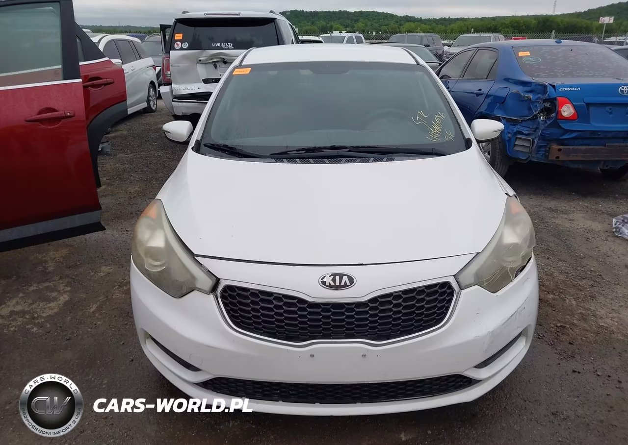 2014 Kia Forte Lx VIN:KNAFX4A68E5115646 - 12