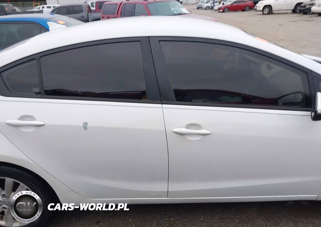 2014 Kia Forte Lx VIN:KNAFX4A68E5115646 - 13