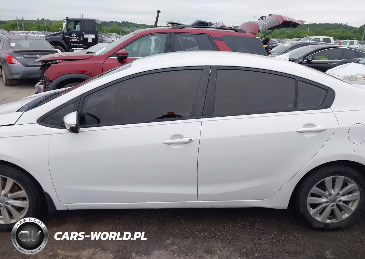 2014 Kia Forte Lx VIN:KNAFX4A68E5115646 - 14