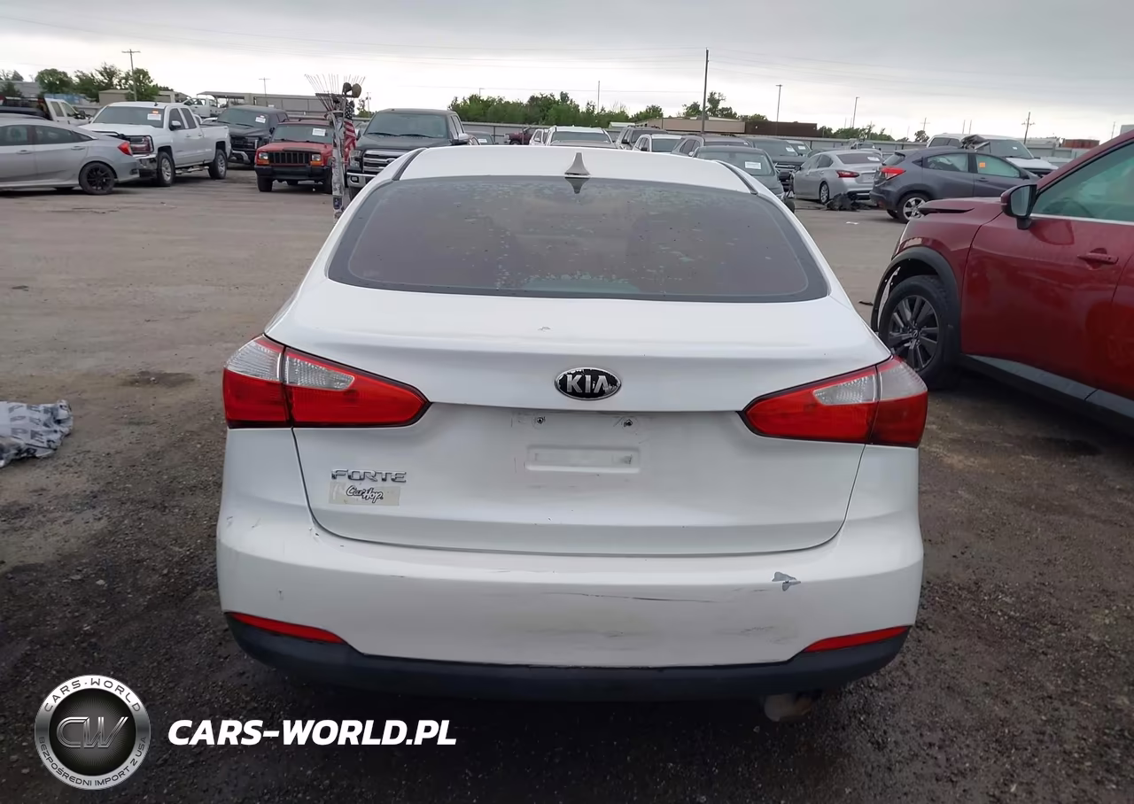 2014 Kia Forte Lx VIN:KNAFX4A68E5115646 - 16