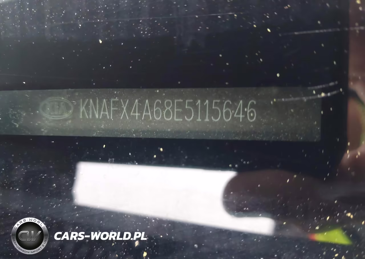 2014 Kia Forte Lx VIN:KNAFX4A68E5115646 - 17