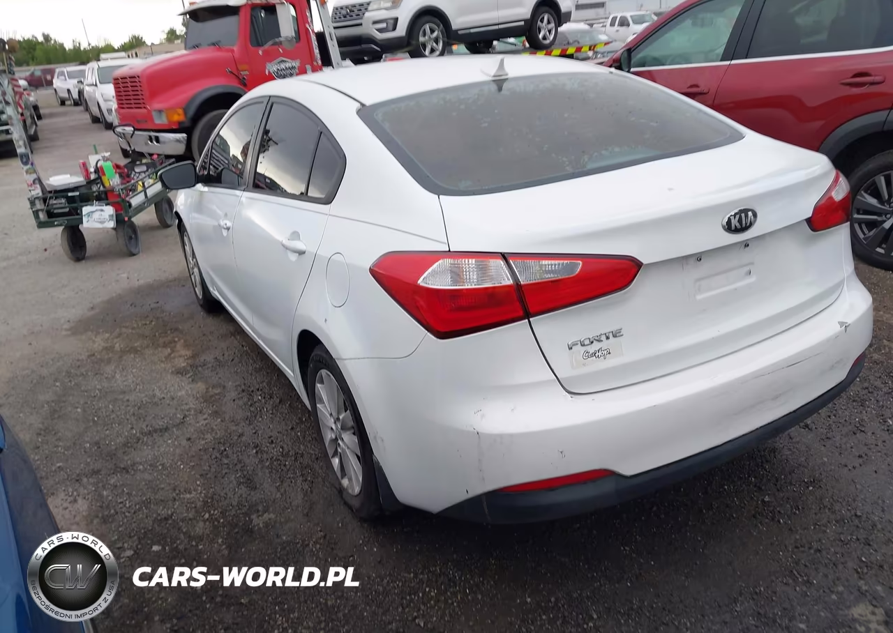 2014 Kia Forte Lx VIN:KNAFX4A68E5115646 - 3