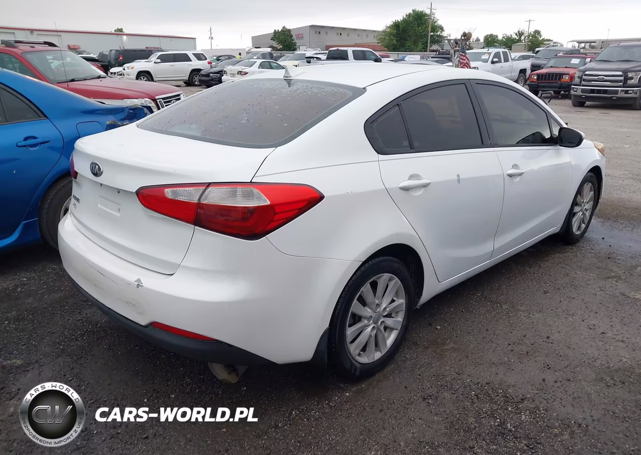 2014 Kia Forte Lx VIN:KNAFX4A68E5115646 - 4