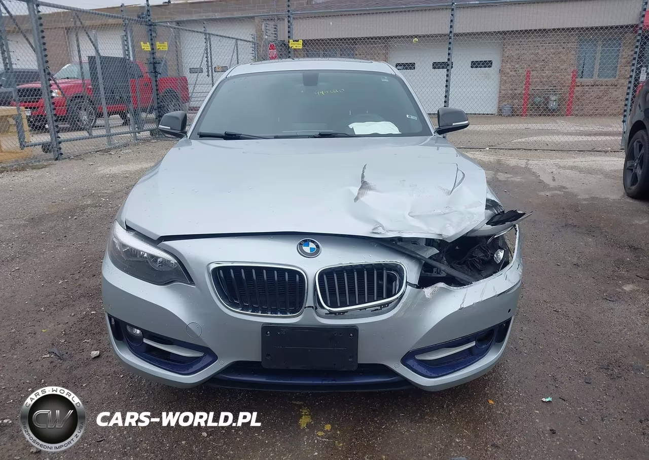 2014 BMW 228I VIN:WBA1F5C56EV256366 - 12