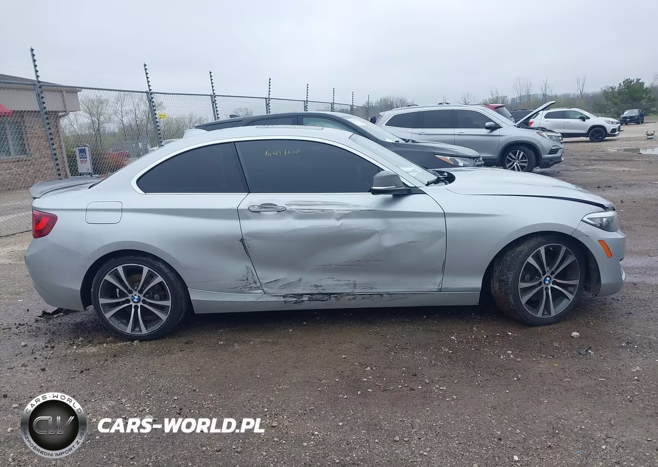 2014 BMW 228I VIN:WBA1F5C56EV256366 - 13