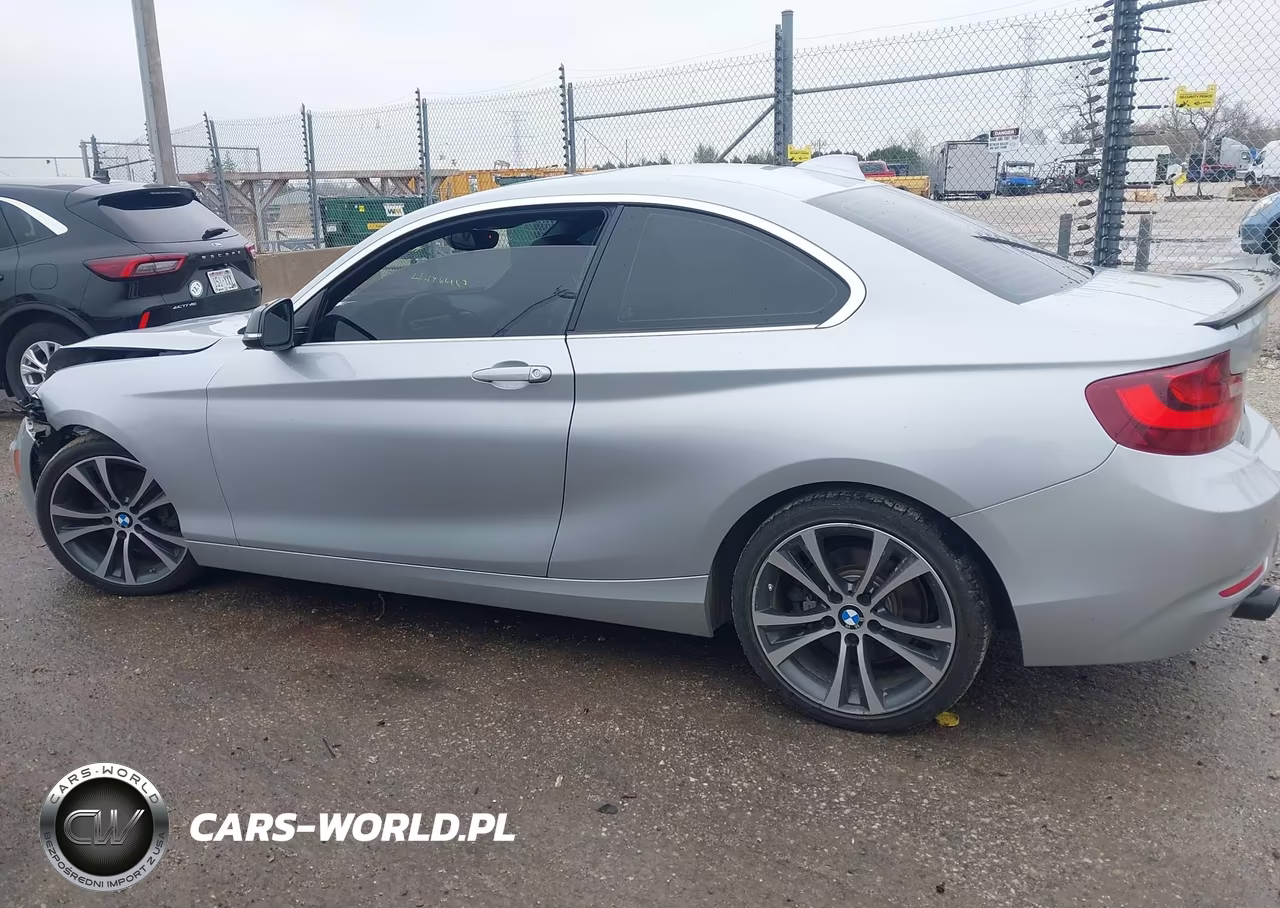 2014 BMW 228I VIN:WBA1F5C56EV256366 - 14