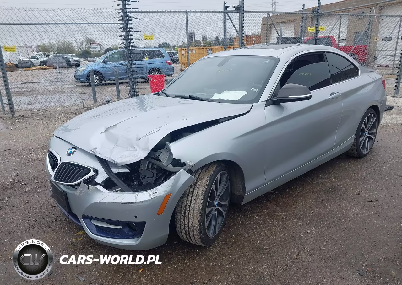 2014 BMW 228I VIN:WBA1F5C56EV256366 - 2