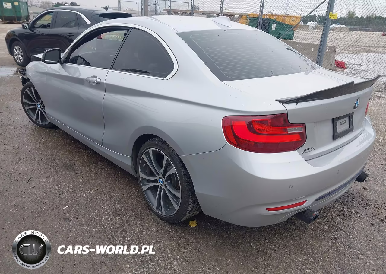 2014 BMW 228I VIN:WBA1F5C56EV256366 - 3