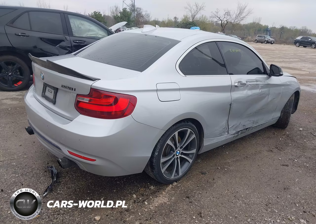 2014 BMW 228I VIN:WBA1F5C56EV256366 - 4