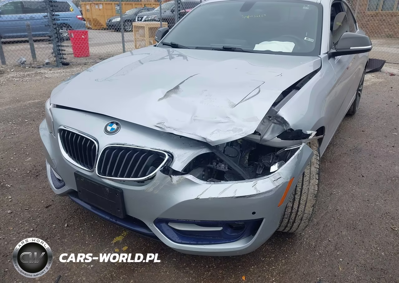 2014 BMW 228I VIN:WBA1F5C56EV256366 - 6