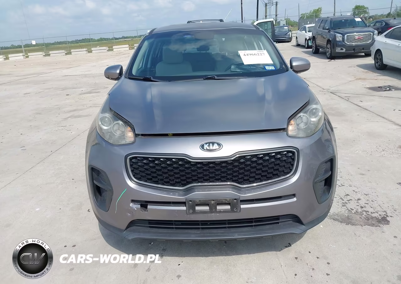 2019 Kia Sportage Lx VIN:KNDPM3AC6K7540699 - 12