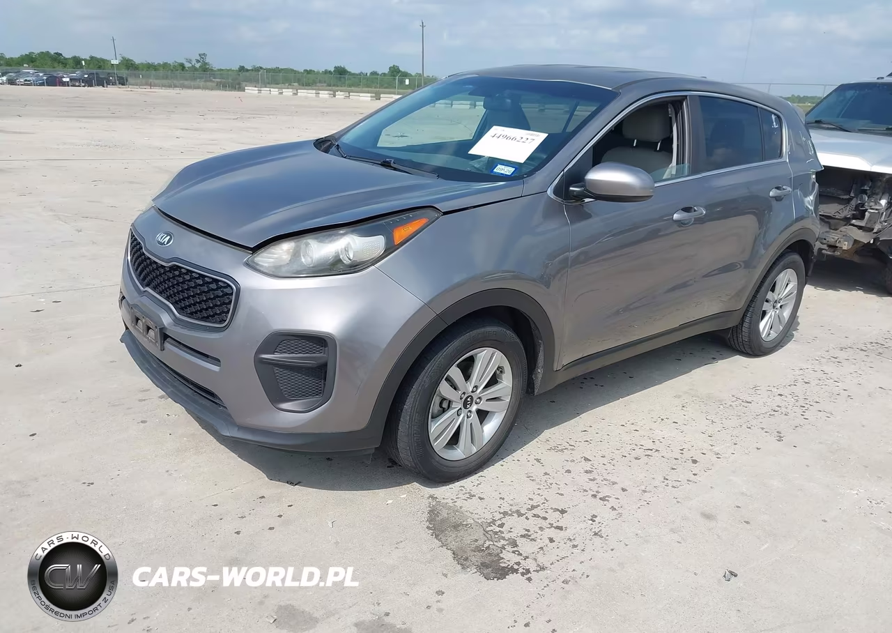 2019 Kia Sportage Lx VIN:KNDPM3AC6K7540699 - 2