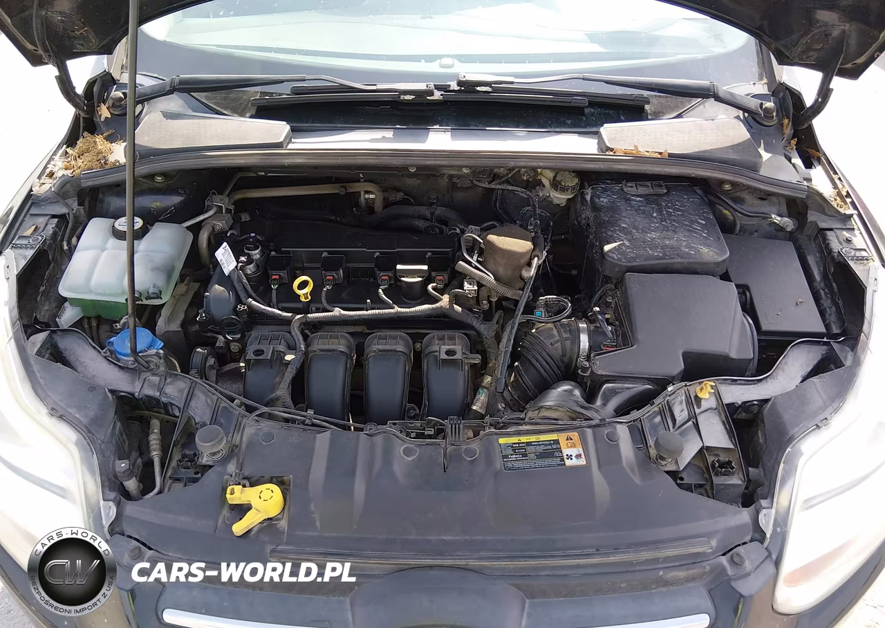 2013 Ford Focus Se VIN:1FADP3K23DL237895 - 10