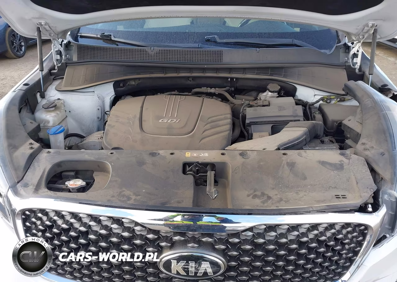 2016 Kia Sorento 3.3L Sxl VIN:5XYPKDA53GG155110 - 10