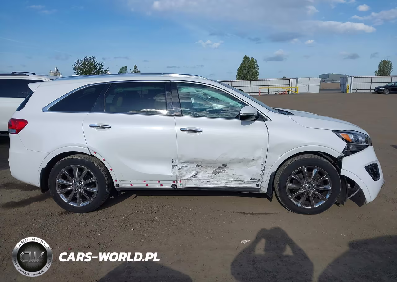 2016 Kia Sorento 3.3L Sxl VIN:5XYPKDA53GG155110 - 14