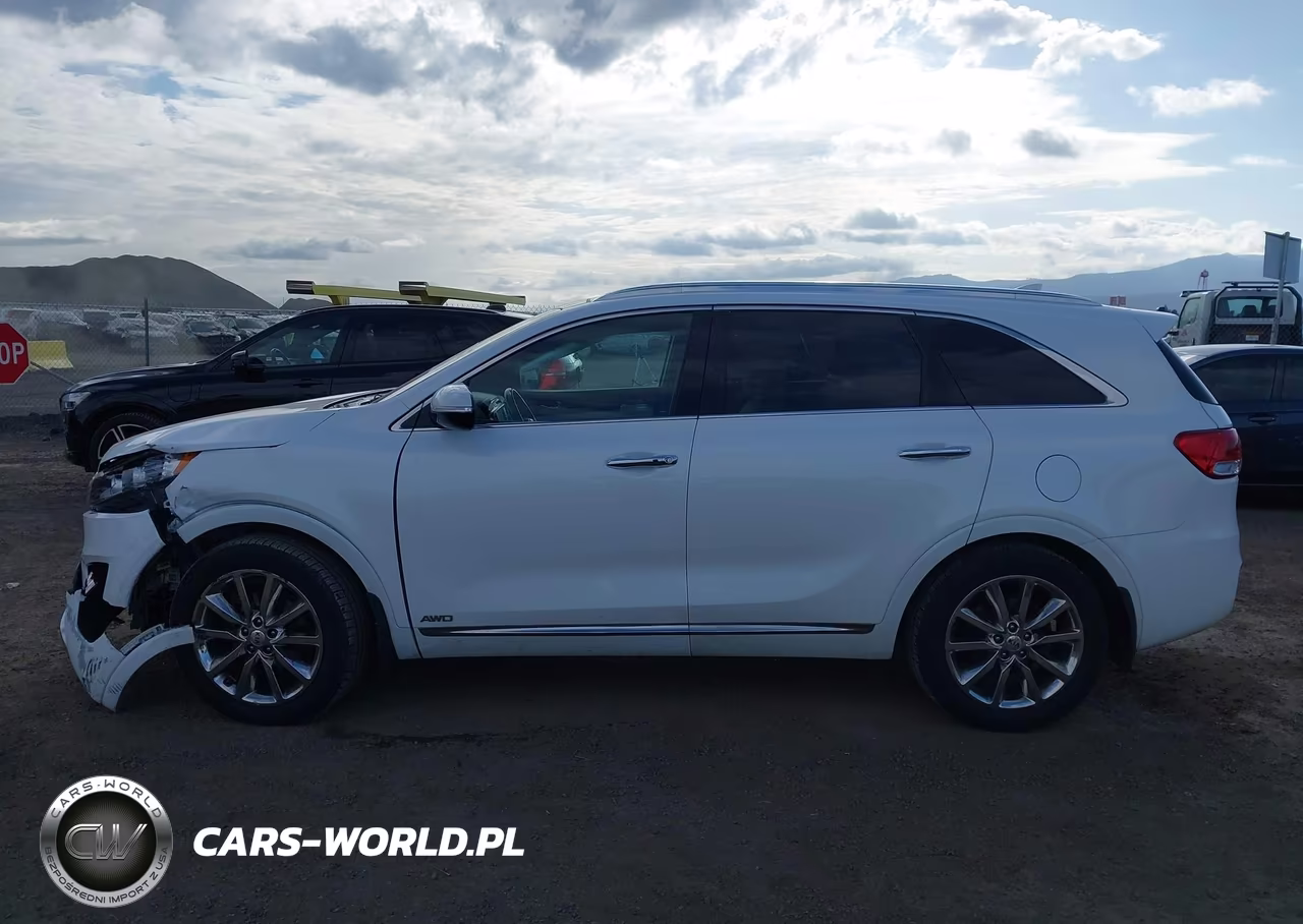 2016 Kia Sorento 3.3L Sxl VIN:5XYPKDA53GG155110 - 15