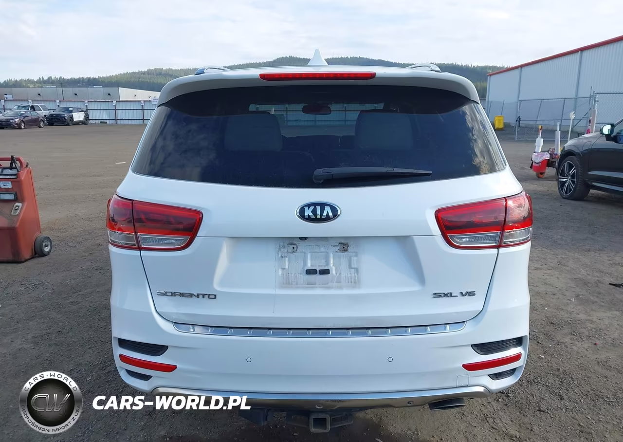 2016 Kia Sorento 3.3L Sxl VIN:5XYPKDA53GG155110 - 17
