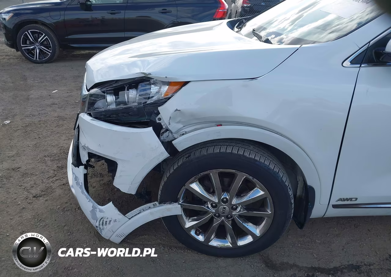 2016 Kia Sorento 3.3L Sxl VIN:5XYPKDA53GG155110 - 18
