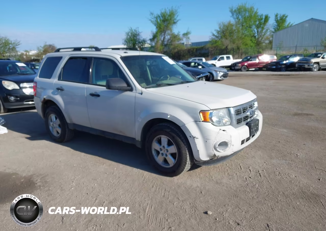 2010 Ford Escape Xlt
