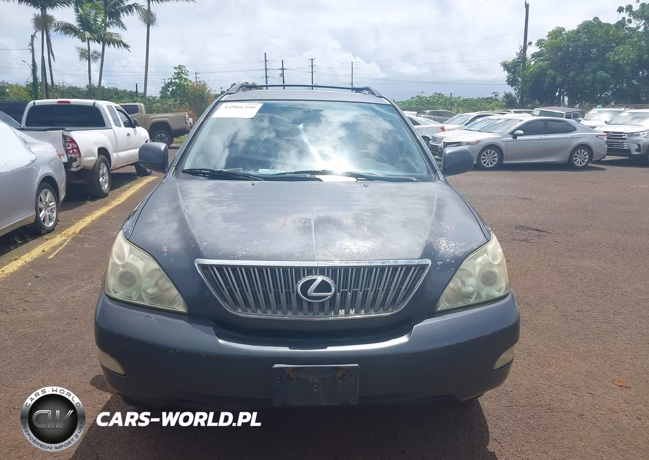 2004 Lexus Rx 330 VIN:JTJGA31U940016943 - 12