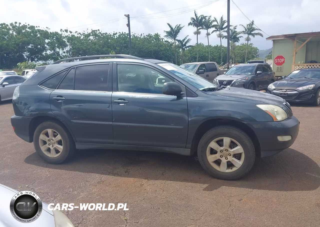 2004 Lexus Rx 330 VIN:JTJGA31U940016943 - 13