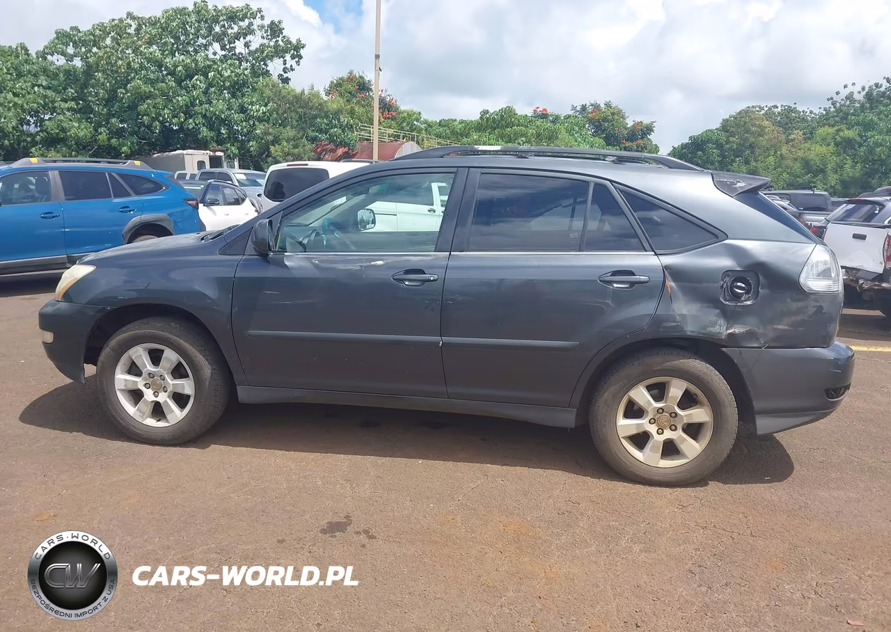 2004 Lexus Rx 330 VIN:JTJGA31U940016943 - 14