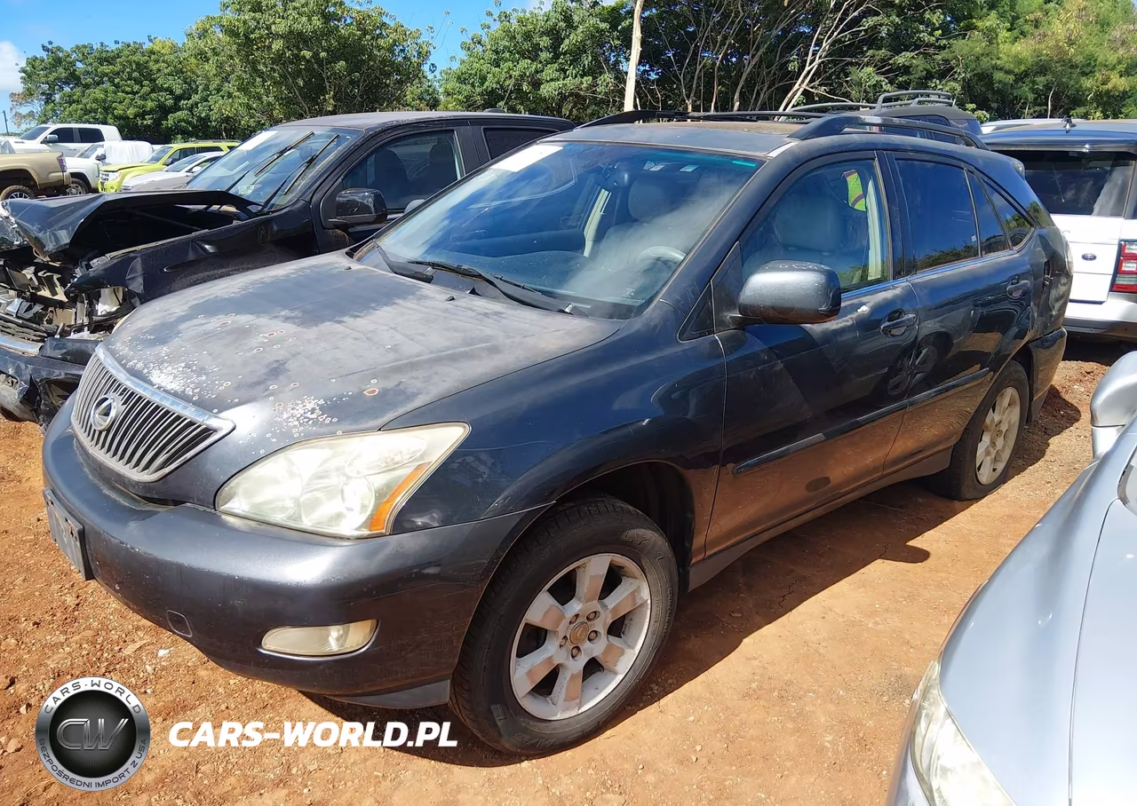 2004 Lexus Rx 330 VIN:JTJGA31U940016943 - 2