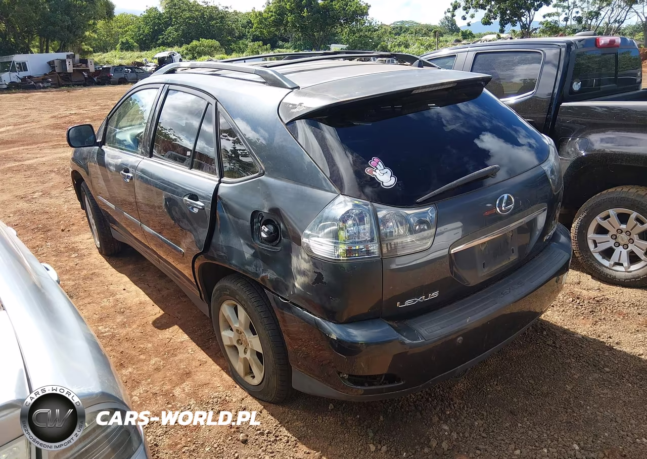 2004 Lexus Rx 330 VIN:JTJGA31U940016943 - 3