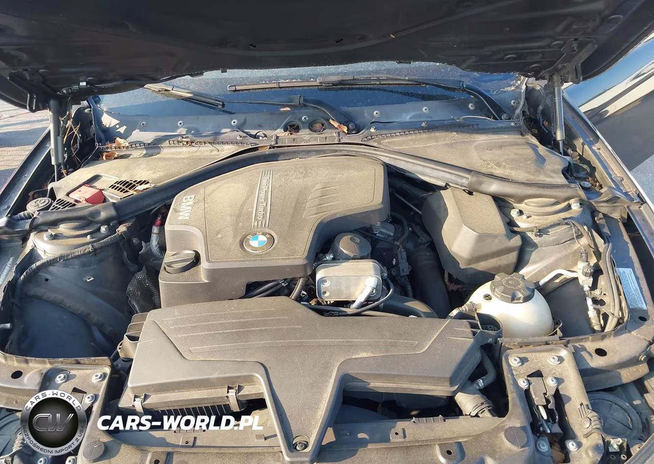2014 BMW 320I xDrive VIN:WBA3C3G51ENS68389 - 10