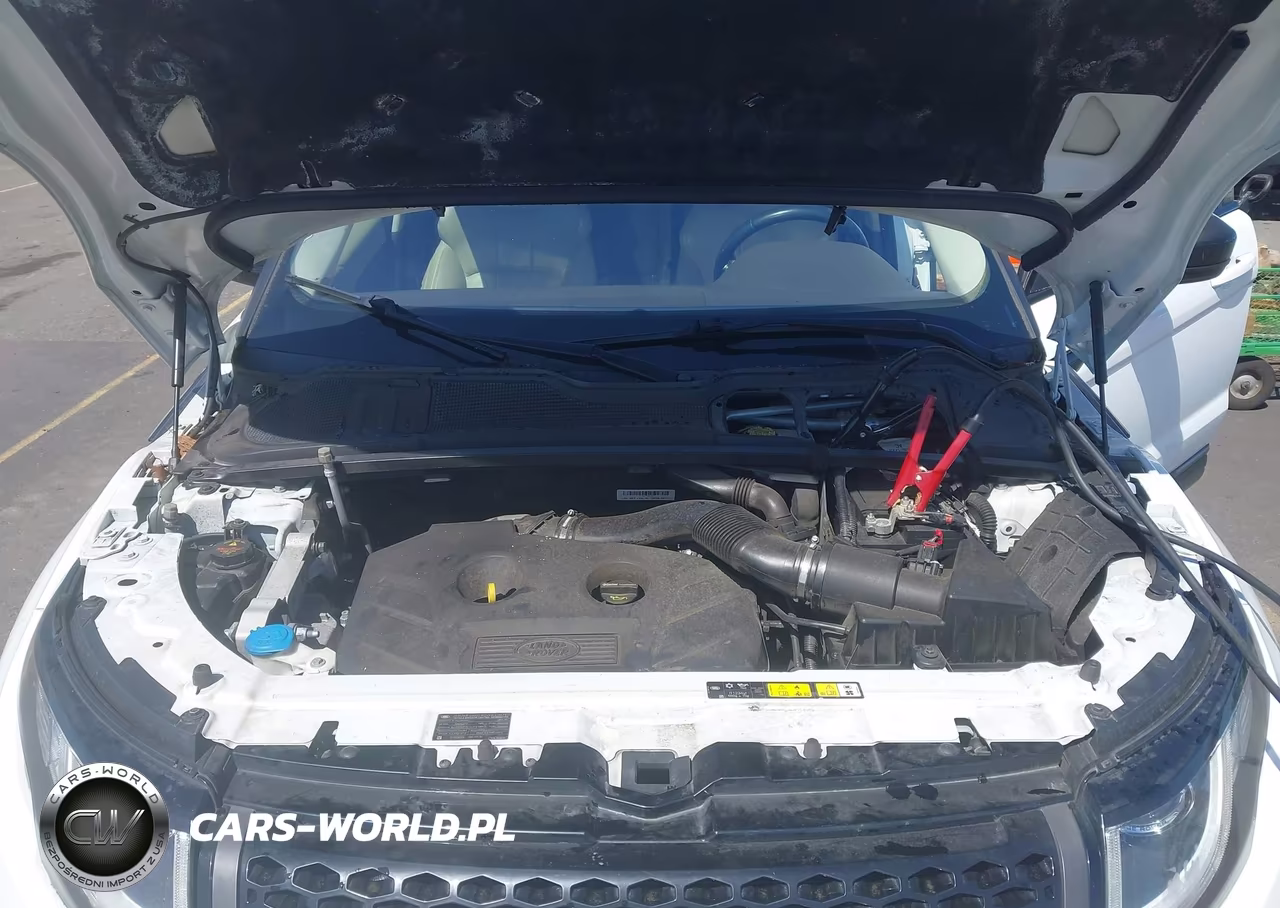 2016 Land Rover Range Rover Evoque Se-Se Premium VIN:SALVP2BG2GH085631 - 10