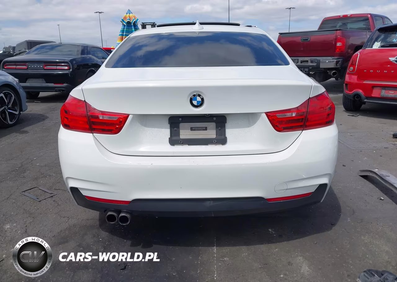 2014 BMW 428I VIN:WBA3N7C51EF719936 - 17