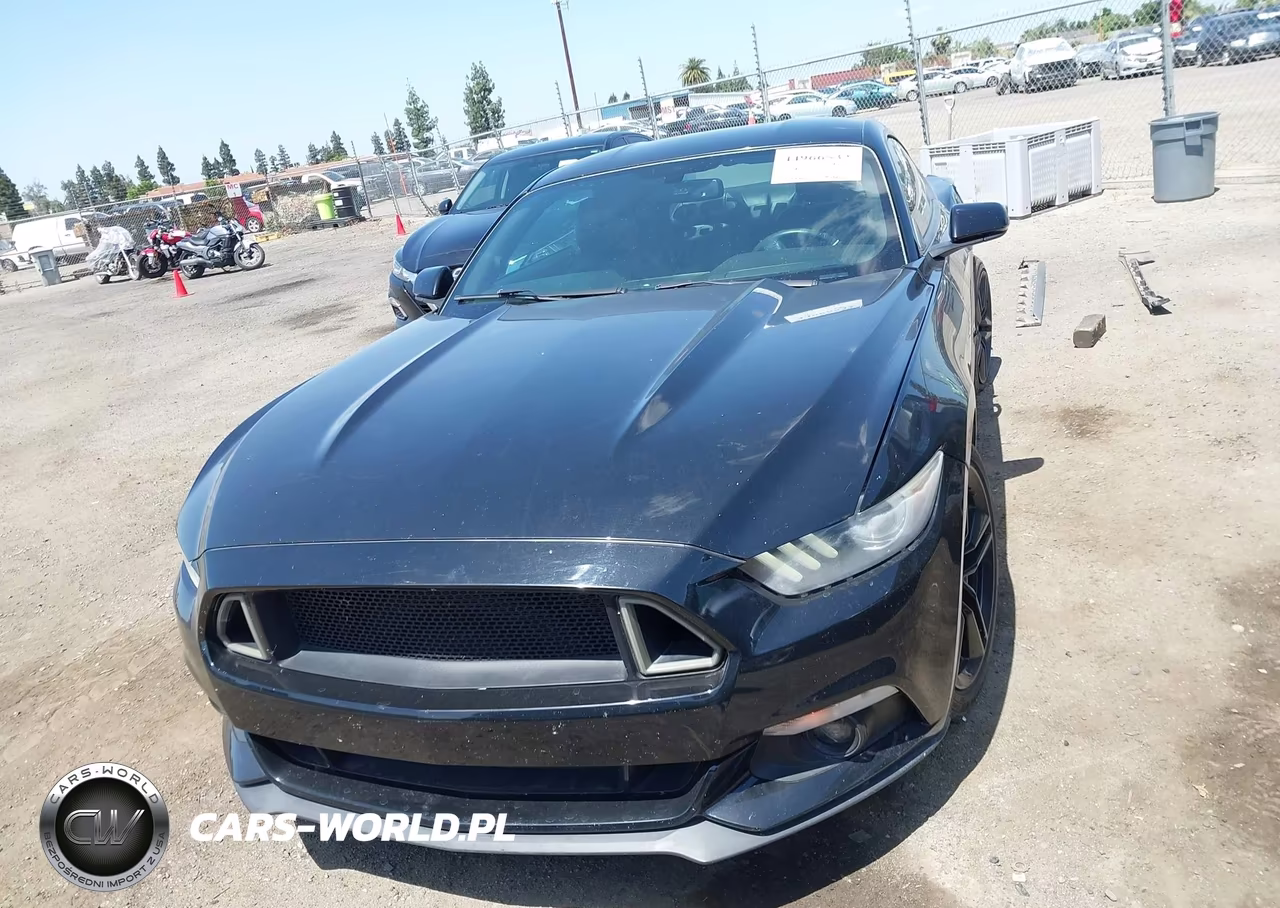 2016 Ford Mustang Ecoboost VIN:1FA6P8TH0G5303949 - 13