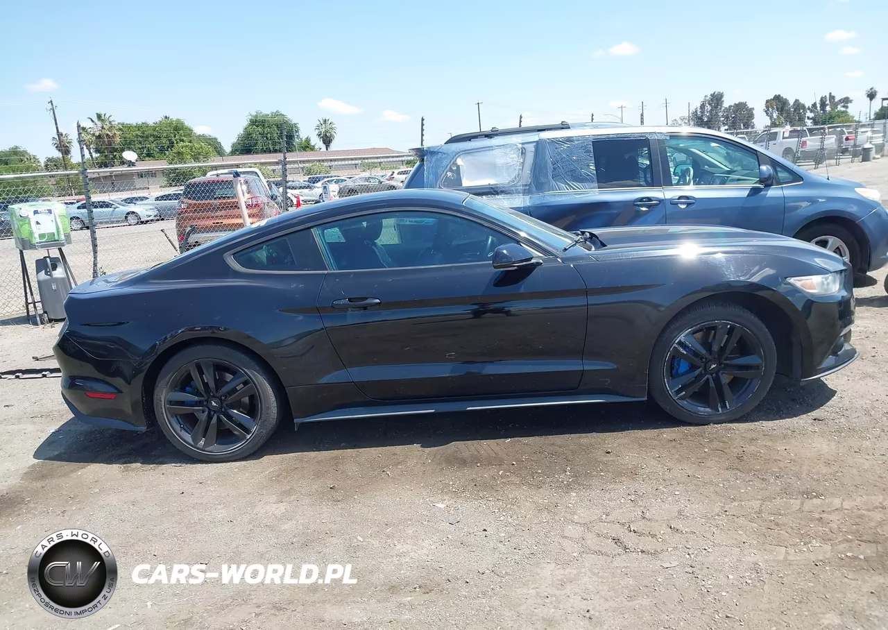 2016 Ford Mustang Ecoboost VIN:1FA6P8TH0G5303949 - 14