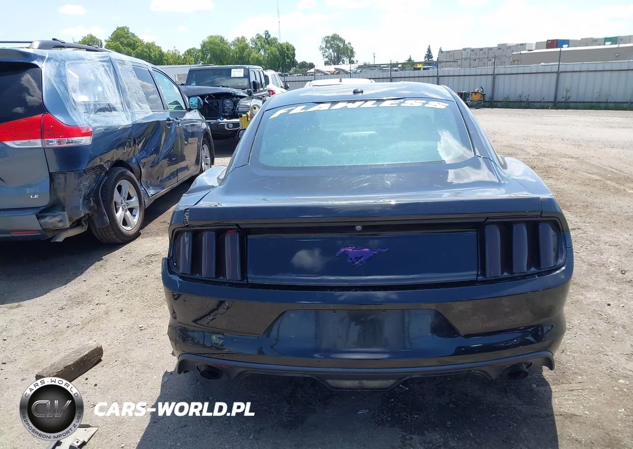 2016 Ford Mustang Ecoboost VIN:1FA6P8TH0G5303949 - 17