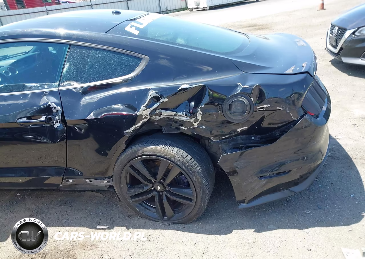 2016 Ford Mustang Ecoboost VIN:1FA6P8TH0G5303949 - 18