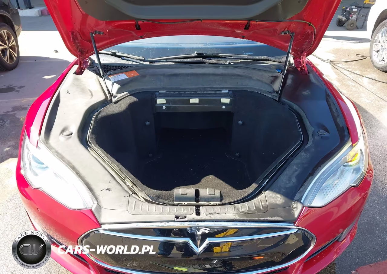 2016 Tesla Model S 60-70-75-85 VIN:5YJSA1E19GF120095 - 10