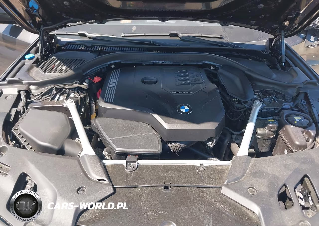 2021 BMW 530I VIN:WBA53BH00MWX21187 - 10