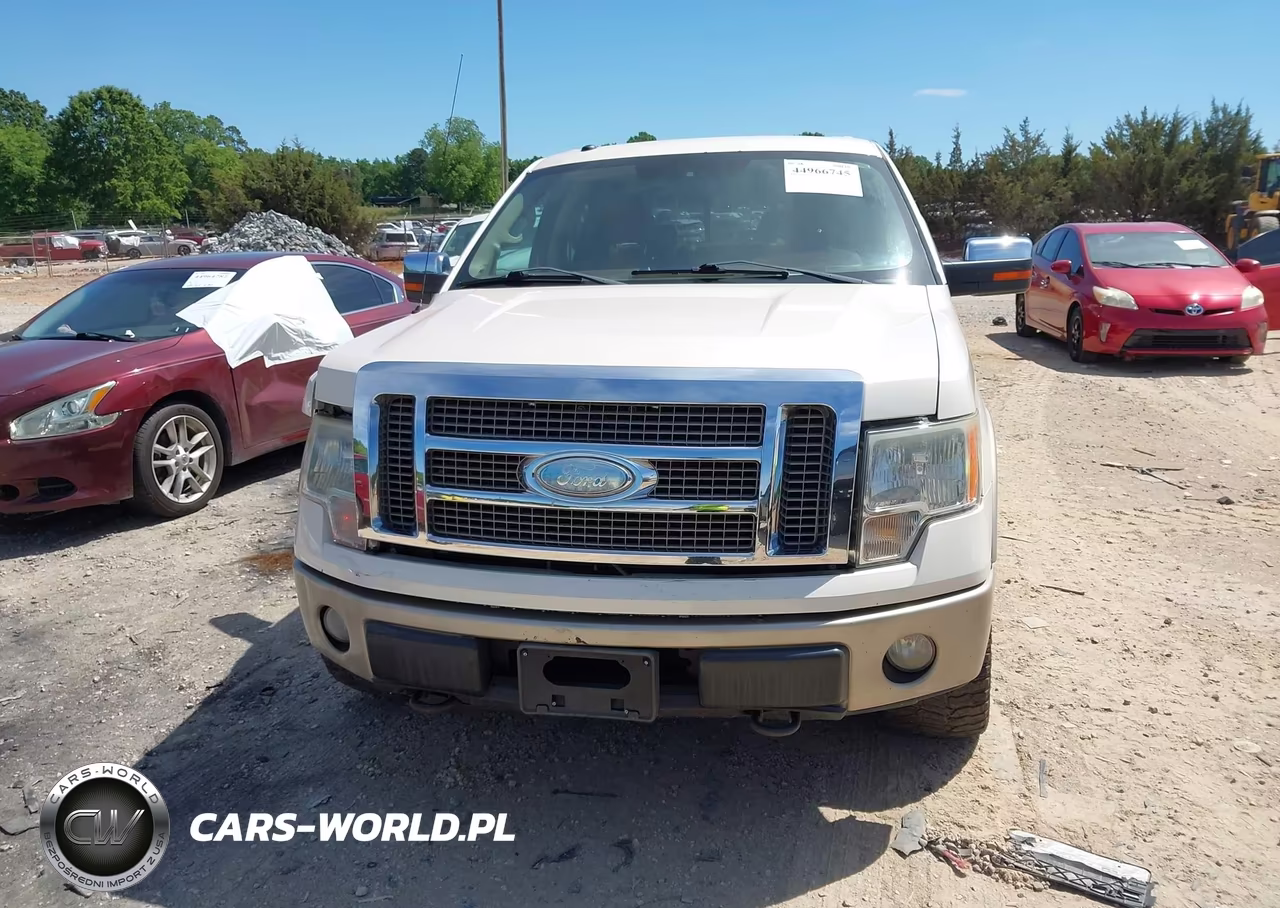 2009 Ford F-150 Fx4-King Ranch-Lariat-Platinum-Xl-Xlt VIN:1FTPW14V59KB98553 - 12