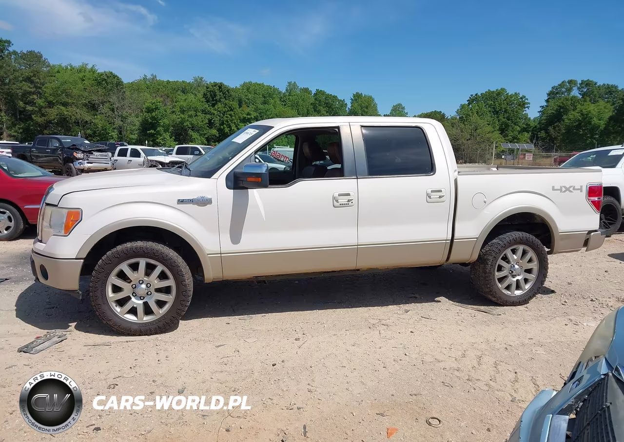 2009 Ford F-150 Fx4-King Ranch-Lariat-Platinum-Xl-Xlt VIN:1FTPW14V59KB98553 - 14