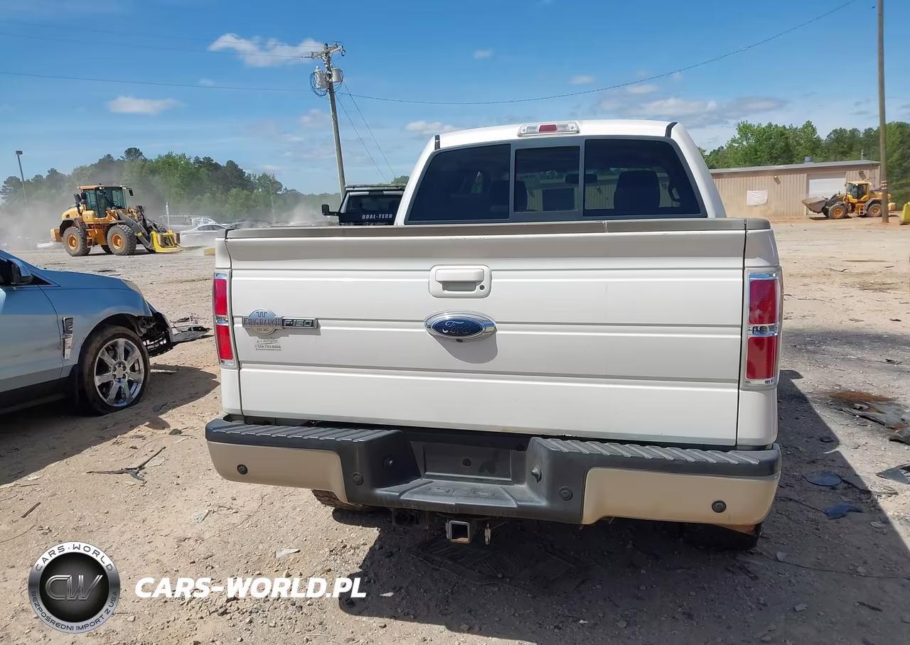 2009 Ford F-150 Fx4-King Ranch-Lariat-Platinum-Xl-Xlt VIN:1FTPW14V59KB98553 - 16
