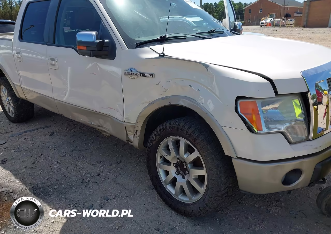 2009 Ford F-150 Fx4-King Ranch-Lariat-Platinum-Xl-Xlt VIN:1FTPW14V59KB98553 - 6