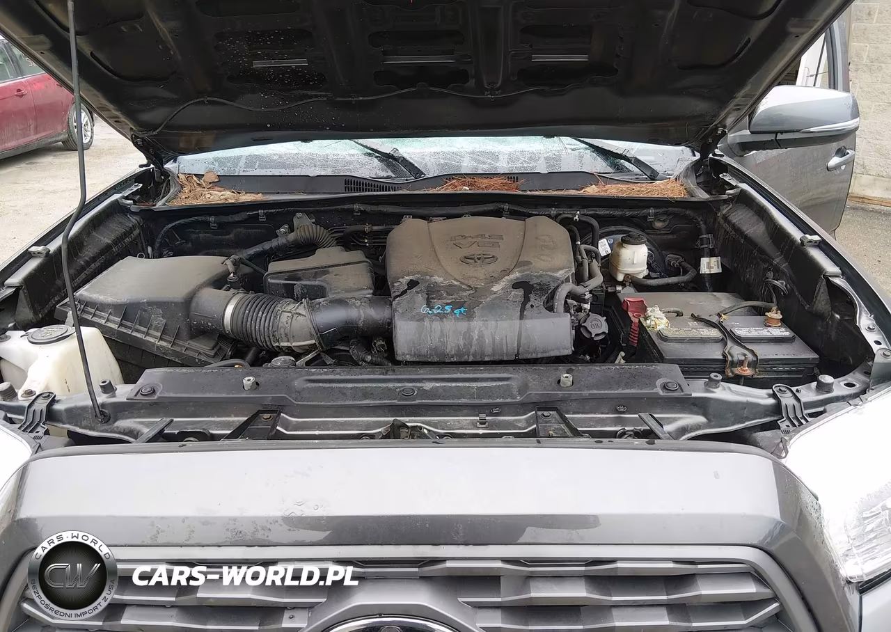 2021 Toyota Tacoma Trd Sport VIN:3TYSZ5ANXMT013660 - 10