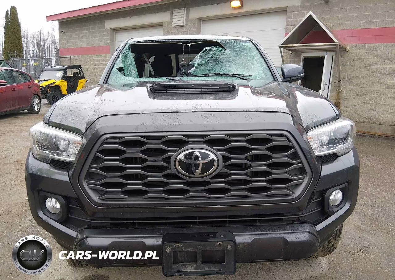 2021 Toyota Tacoma Trd Sport VIN:3TYSZ5ANXMT013660 - 13