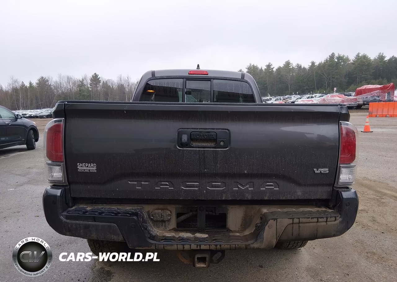 2021 Toyota Tacoma Trd Sport VIN:3TYSZ5ANXMT013660 - 17