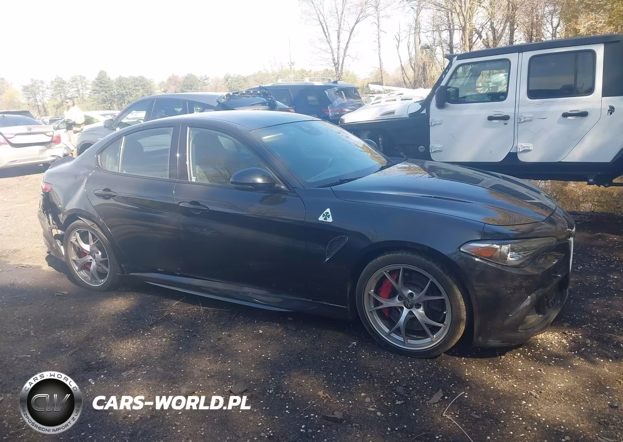 2018 Alfa Romeo Giulia Quadrifoglio Rwd VIN:ZARFAEAV7J7578447 - 13