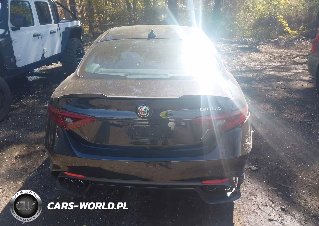 2018 Alfa Romeo Giulia Quadrifoglio Rwd VIN:ZARFAEAV7J7578447 - 16