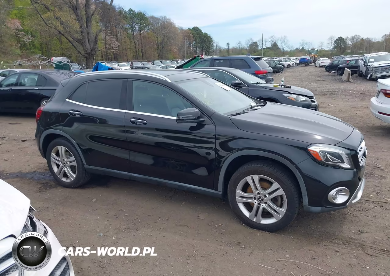 2020 Mercedes-Benz Gla 250 4Matic VIN:W1NTG4GB0LJ699645 - 12