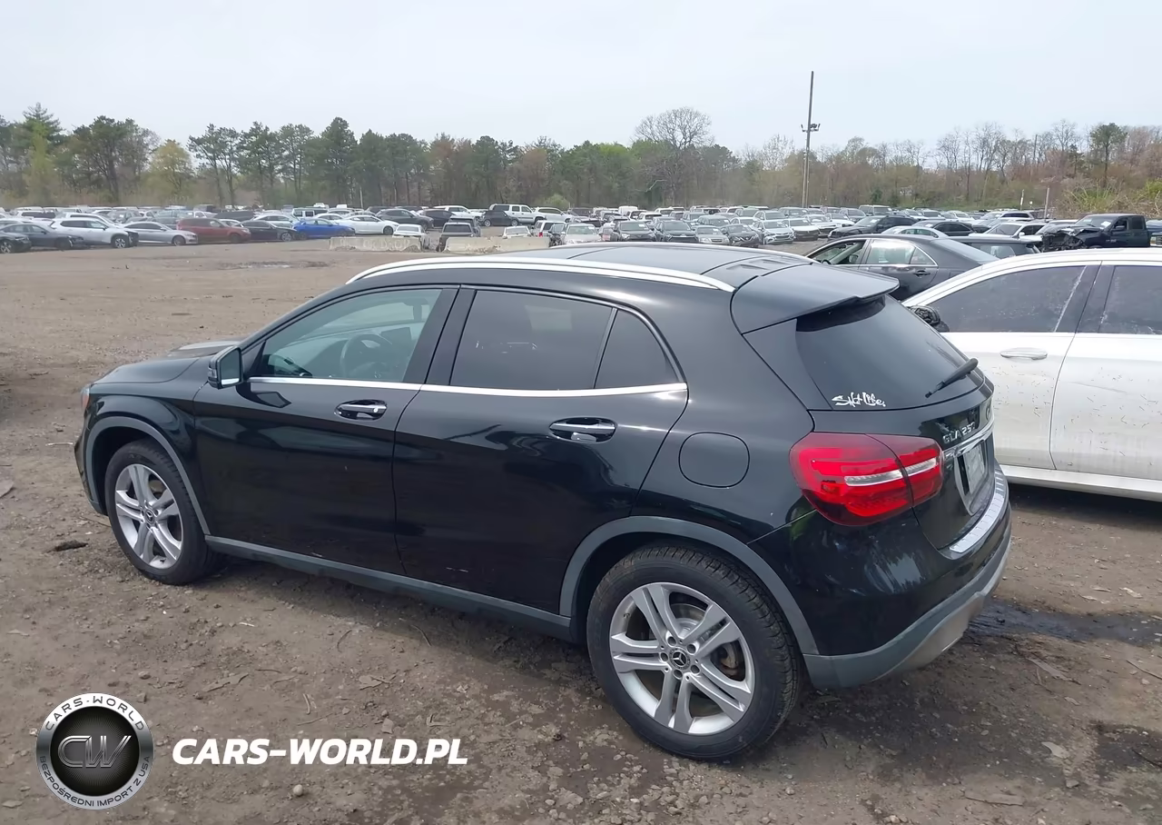 2020 Mercedes-Benz Gla 250 4Matic VIN:W1NTG4GB0LJ699645 - 13