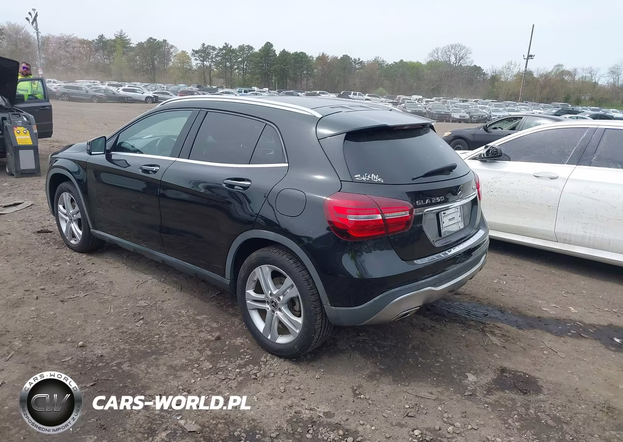 2020 Mercedes-Benz Gla 250 4Matic VIN:W1NTG4GB0LJ699645 - 3