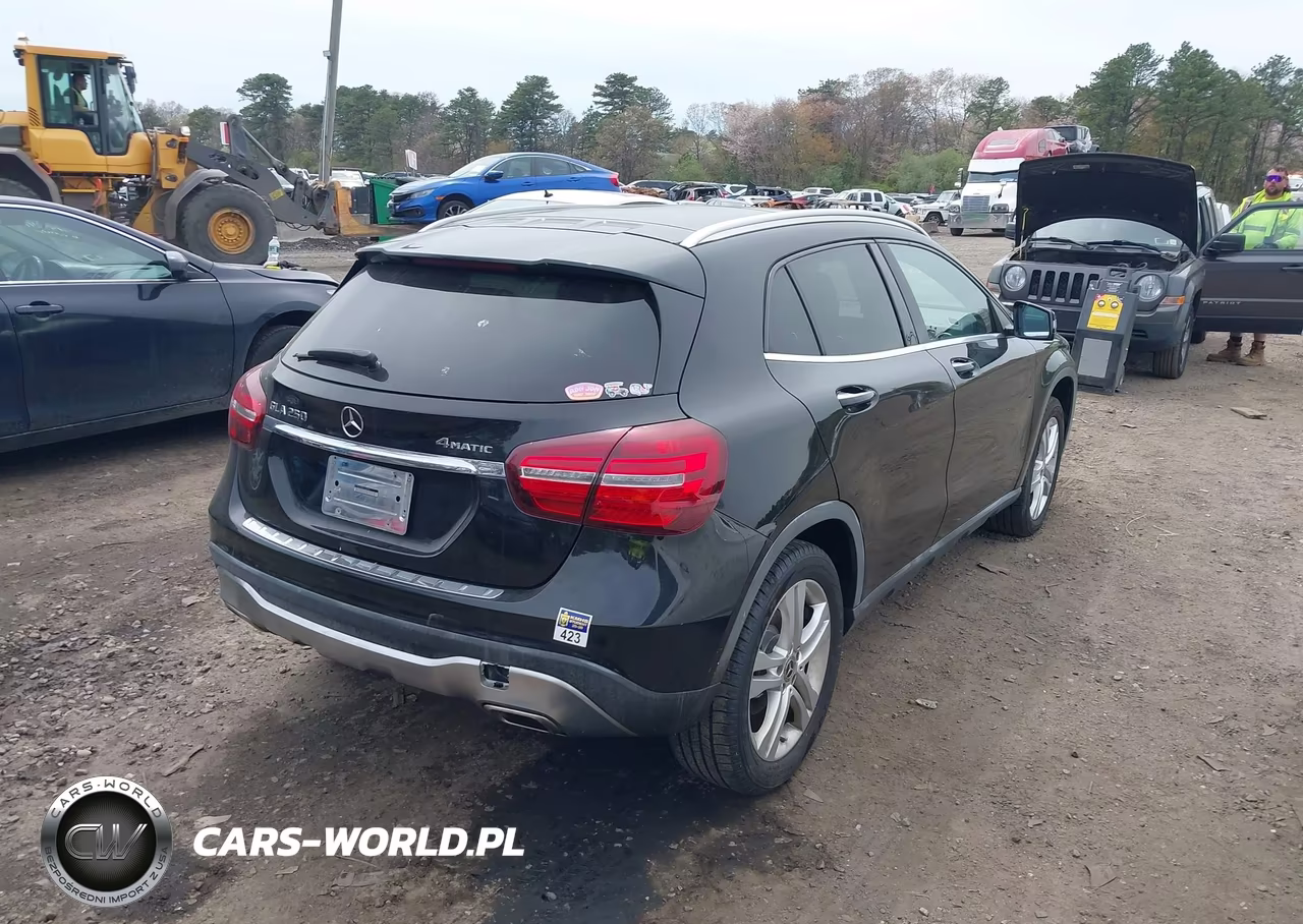 2020 Mercedes-Benz Gla 250 4Matic VIN:W1NTG4GB0LJ699645 - 4